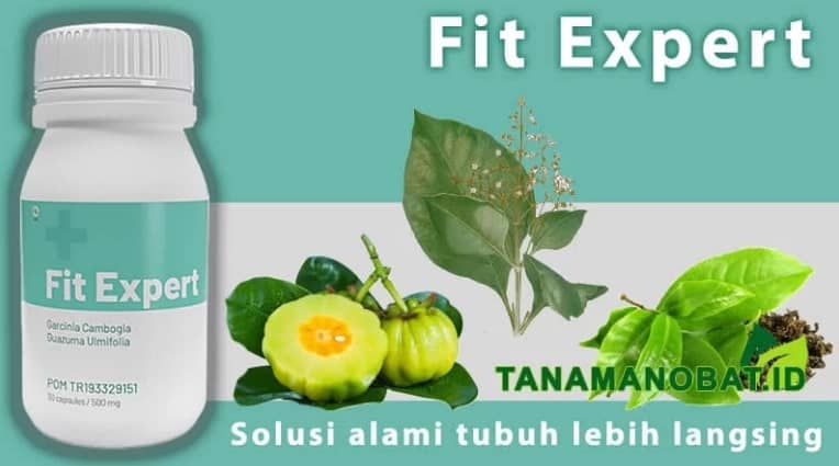 Fit Expert harga