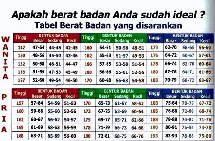 bagan bmi untuk wanita ketahui berat